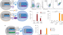 Source-provided article image: A structure-informed deep learning framework for modeling TCR-peptide-HLA interactions