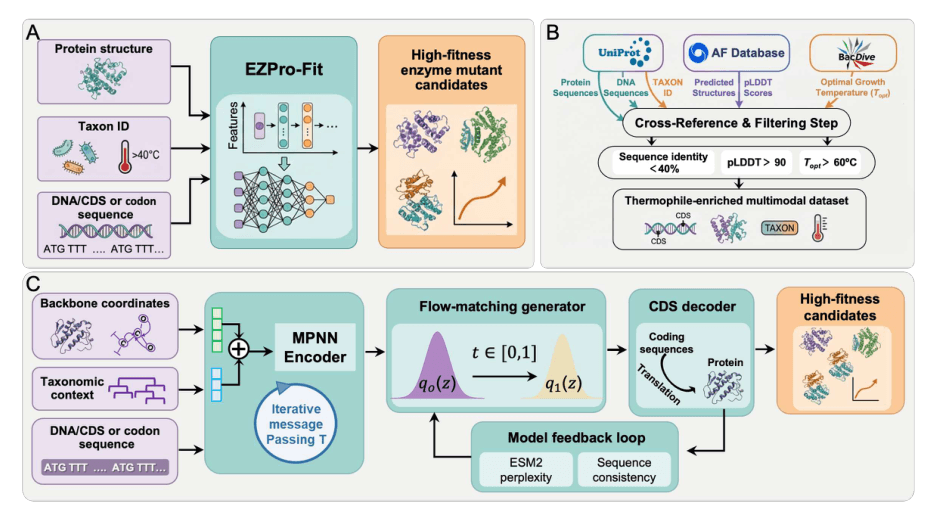 Source-provided article image: EZPro-Fit: A Thermophile-Informed Cross-Modal Generative Framework Integrating DNA Language and Protein Structure for Enzyme Mutant Design