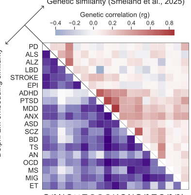 Source-provided article image: Clinical trajectories and genetic architecture across the neurological-psychiatric boundary