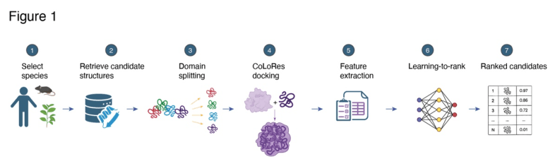 Source-provided article image: A learning-to-rank framework for large-scale identification of unknown proteins from cryo-EM and cryo-ET maps