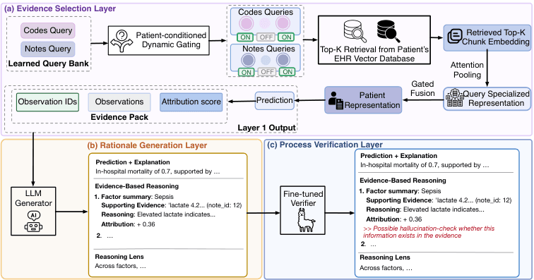 Source-provided article image: EviGen: Predictive Evidence Scaffolding for Verifiable Clinical Rationale Generation