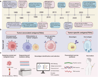 Source-provided article image: Therapeutic cancer vaccines: development, challenges, and future perspectives.