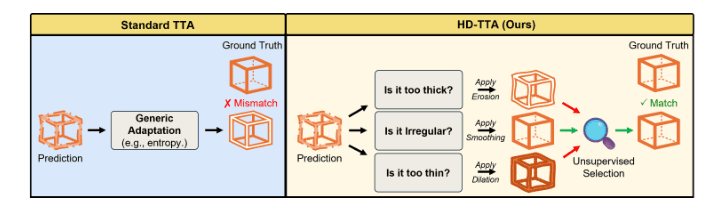Source-provided article image: HD-TTA: Hypothesis-Driven Test-Time Adaptation for Safer Brain Tumor Segmentation