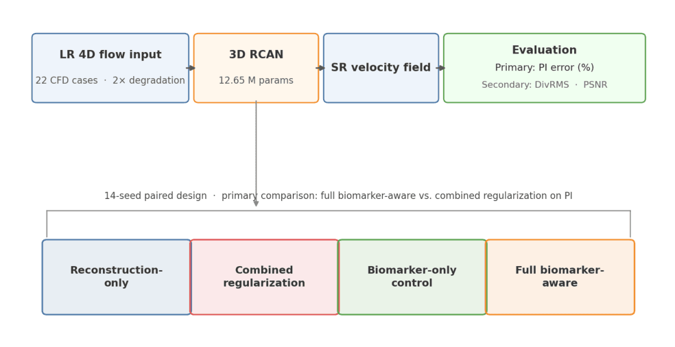 Source-provided article image: Biomarker-Aware Super-Resolution for 4D Flow MRI in a Synthetic Pulmonary-Artery Benchmark