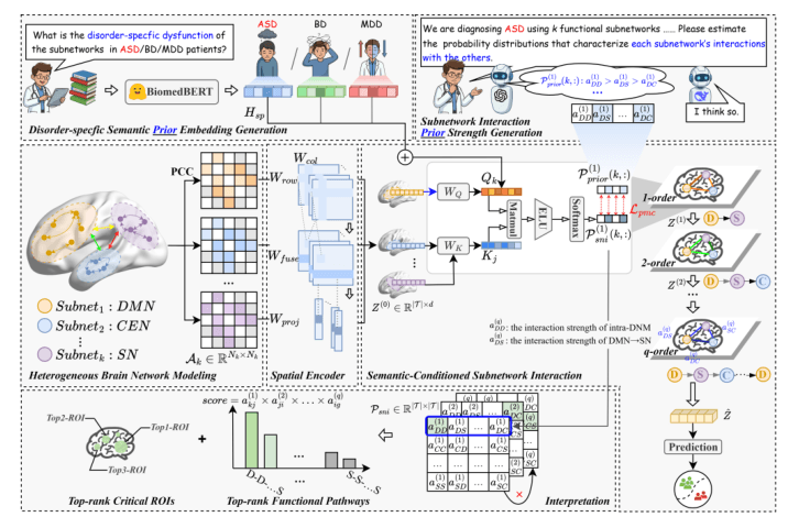 Source-provided article image: Exploring Subnetwork Interactions in Heterogeneous Brain Network via Prior-Informed Graph Learning