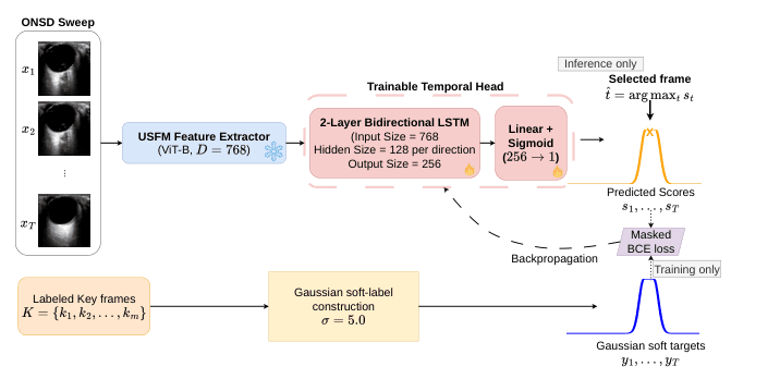 Source-provided article image: Soft Temporal Scoring Using a Foundation Model: Optimal Frame Selection for Improved ONSD Measurement in Ultrasound Videos