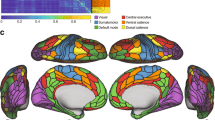 Source-provided article image: Learning the Hierarchical Organization in Brain Network for Brain Disorder Diagnosis