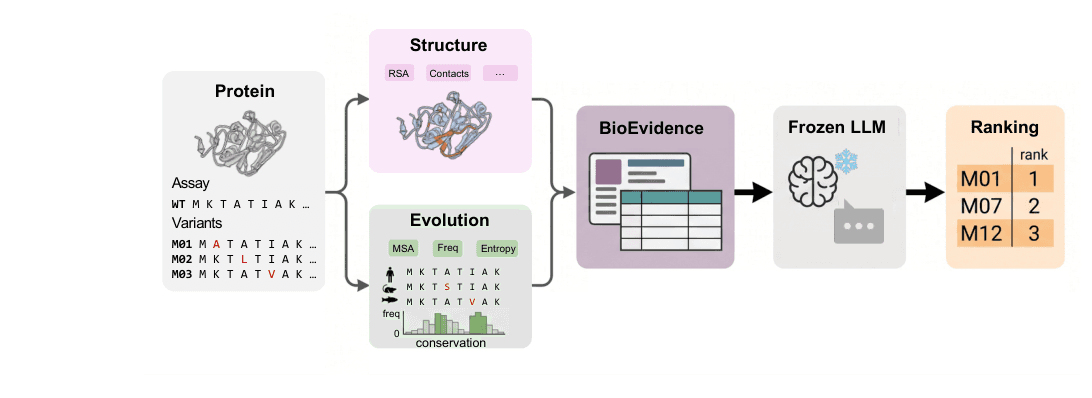 Source-provided article image: Evidence Scaling for Zero-Shot Protein Reasoning with Large Language Models