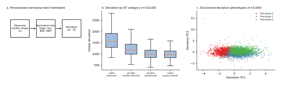 Source-provided article image: Personalised normative cardiac phenotyping reveals clinically relevant heterogeneity in cardiac shape and outcome risk