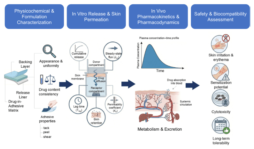 Source-provided article image: Revolutionizing transdermal drug delivery evaluation: the evolution from traditional models to skin organoids and the integration of artificial intelligence