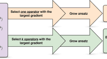 Source-provided article image: An optimized construction of lie algebra generator pools for variational quantum eigensolvers in chemistry
