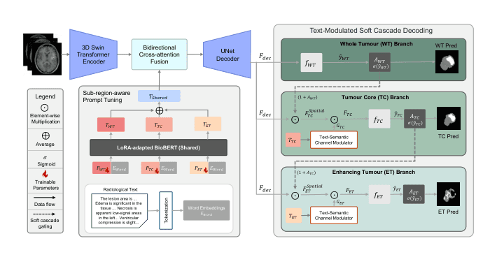 Source-provided article image: Hierarchical Text-Guided Brain Tumor Segmentation via Sub-region-Aware Prompts