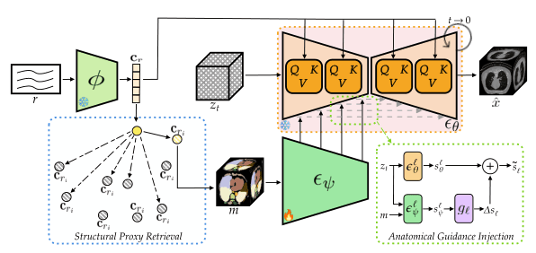 Source-provided article image: Retrieval-Augmented Anatomical Guidance for Text-to-CT Generation