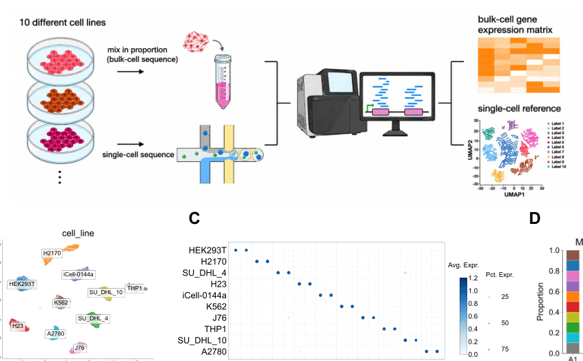 Source-provided article image: DECIPHER integrates disentangled representation learning and prototype-based cell-type deconvolution across molecular modalities