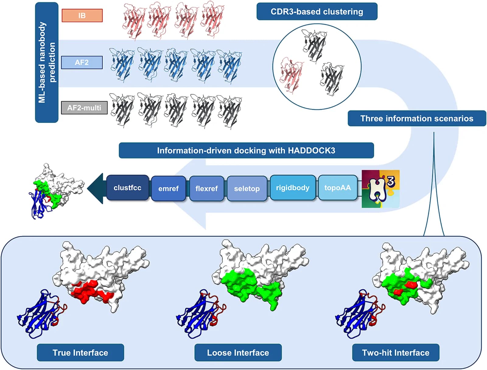 Source-provided article image: Combining AI Structure Prediction and Integrative Modeling for Nanobody-Antigen Complexes.