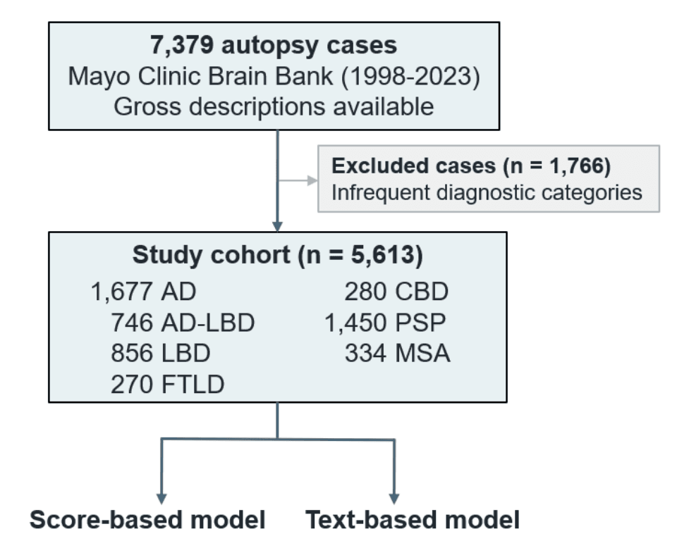 Source-provided article image: Diagnostic Value of Large Language Model-Extracted Gross Brain Findings in Neurodegenerative Diseases