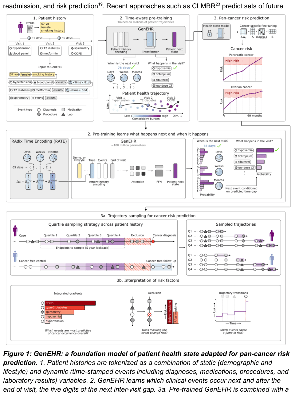 Source-provided article image: Identifying cohorts at elevated risk of cancers using generative modeling of patient health states