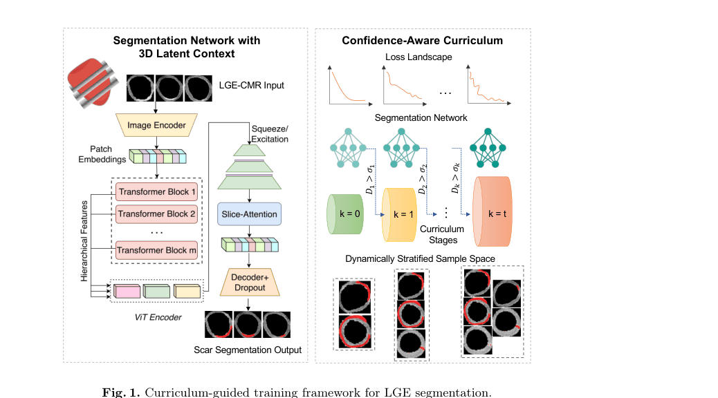 Source-provided article image: CalcSeg: Confidence-Aware 3D Latent Context Curriculum Learning For Myocardial Scar Segmentation From Single-Stack LGE-CMRs