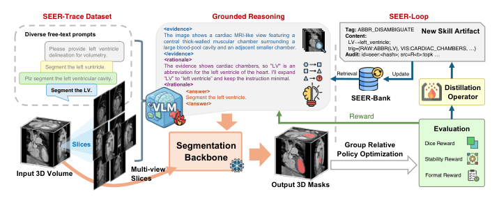 Source-provided article image: Skill-Evolving Grounded Reasoning for Free-Text Promptable 3D Medical Image Segmentation