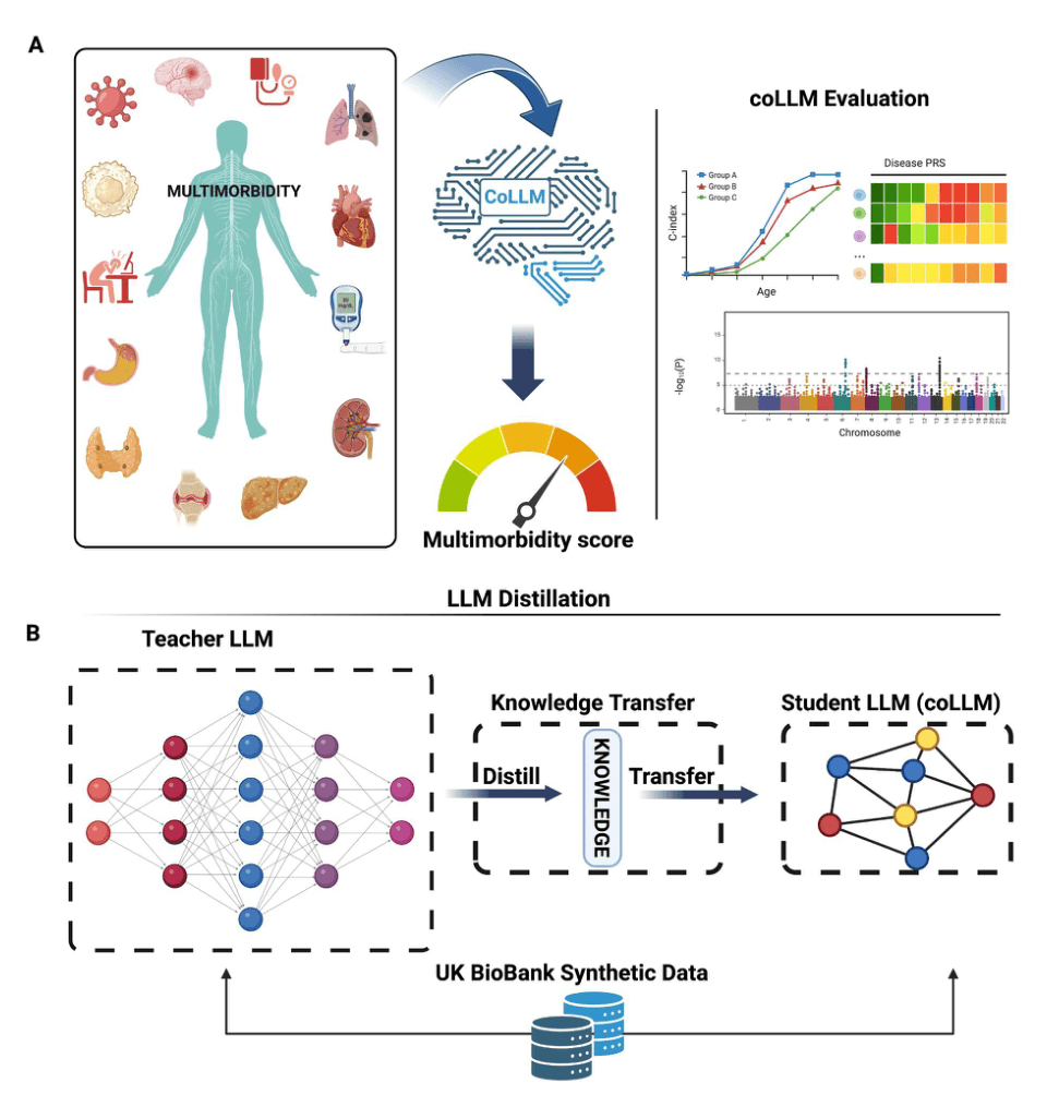 Source-provided article image: Privacy-Aware Distillation of Large Language Models for Enhanced Multimorbidity Scoring