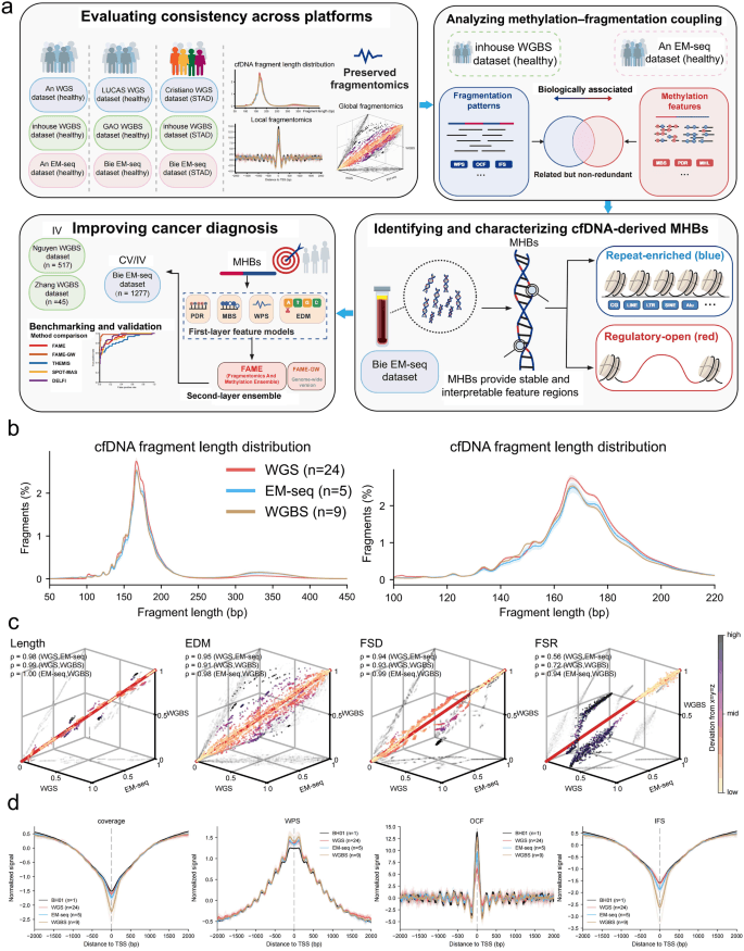 Source-provided article image: Decoding coupled epigenetic-fragmentomic signals in circulating cell-free DNA for interpretable cancer diagnosis.