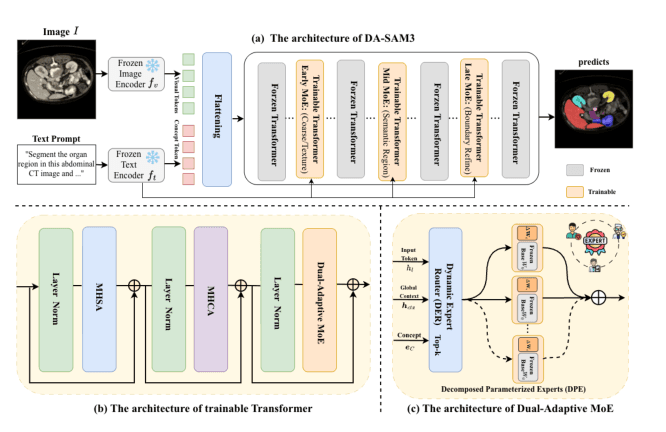 Source-provided article image: Dual-Adaptive SAM3: Hierarchical Routing over Low-Rank Expert Layers for Parameter-Efficient Medical Image Segmentation