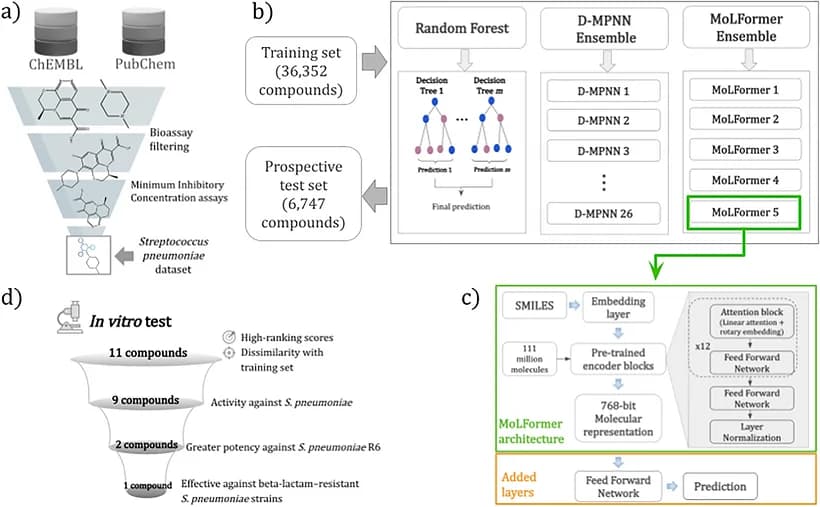 Source-provided article image: Artificial Intelligence-Guided Phenotypic Drug Repurposing Against Streptococcus pneumoniae.