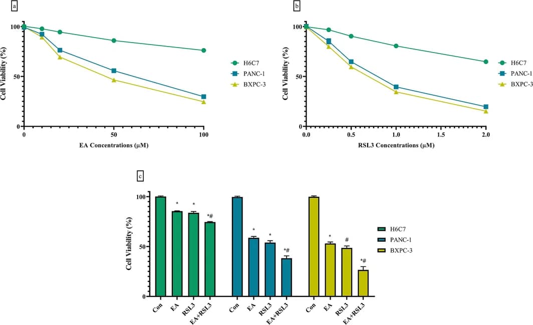 Source-provided article image: Ellagic Acid Enhances RSL3-Induced Ferroptosis by Inhibiting the Nrf2/HO-1 Signaling Pathway in Pancreatic Ductal Adenocarcinoma.