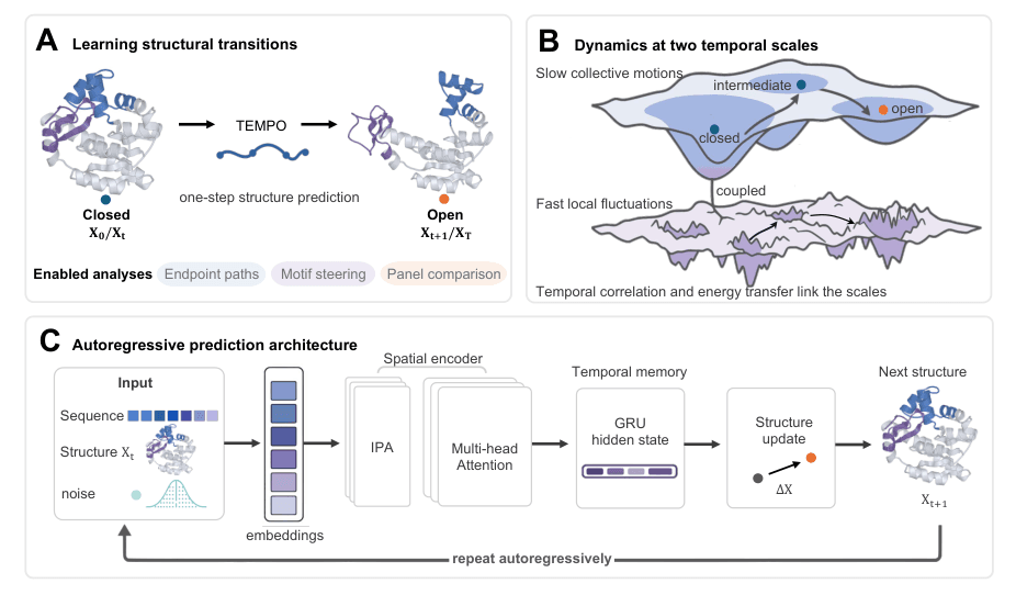 Source-provided article image: Multiscale autoregressive modeling generates ordered protein conformational trajectories
