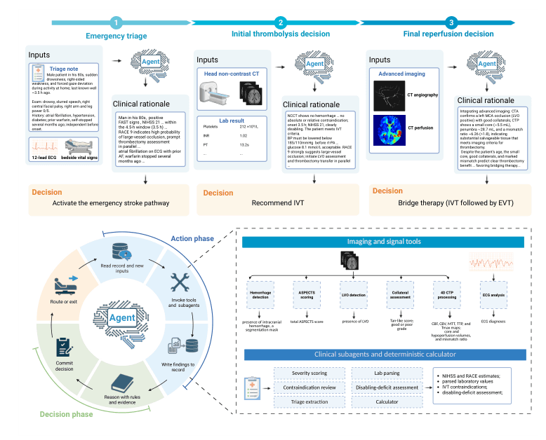 Source-provided article image: An auditable multimodal agentic system for sequential decision-making across the acute stroke pathway