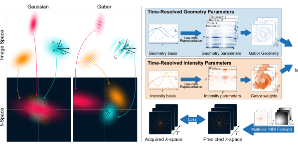 Source-provided article image: Gabor Primitives for Accelerated Cardiac Cine MRI Reconstruction