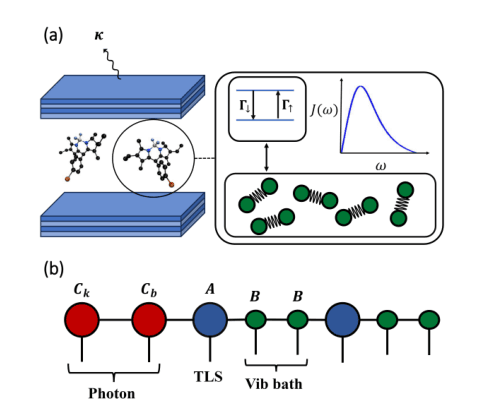 Source-provided article image: For Molecular Polaritons, Disorder and Phonon Time Scales Control the Activation of Dark States in the Thermodynamic Limit