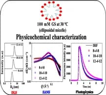 Source-provided article image: Probing Salt-Induced Changes in the Self-Assembly Behavior of Gemini Surfactants Using Scattering and Spectroscopic Techniques.