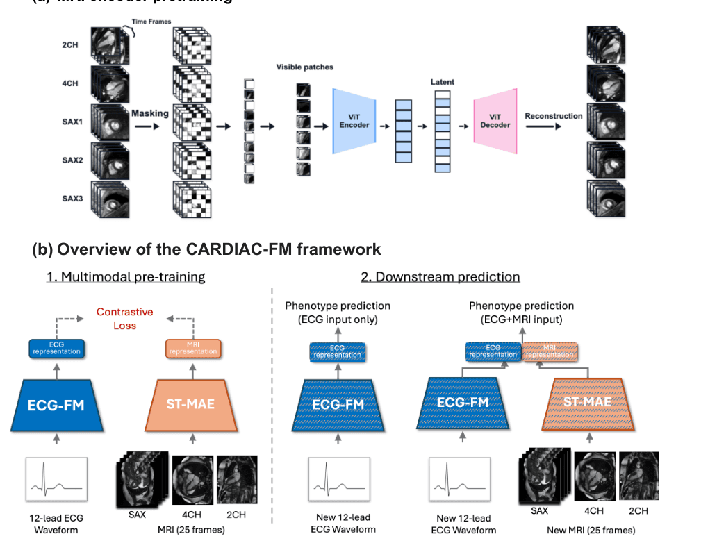 Source-provided article image: CARDIAC-FM: A Generalizable Multimodal Foundation Model Integrating ECG and Cardiac MRI