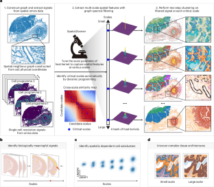 Source-provided article image: SpatialZoomer: multi-scale feature analysis of spatial transcriptomics