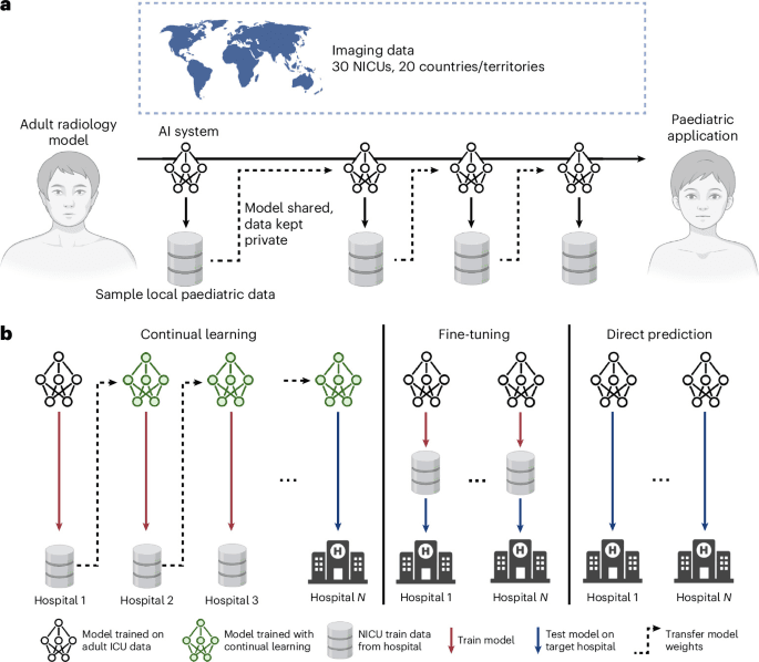 Source-provided article image: Repurposing adult AI radiograph models for neonatal care through continual learning: an international multicentre study.