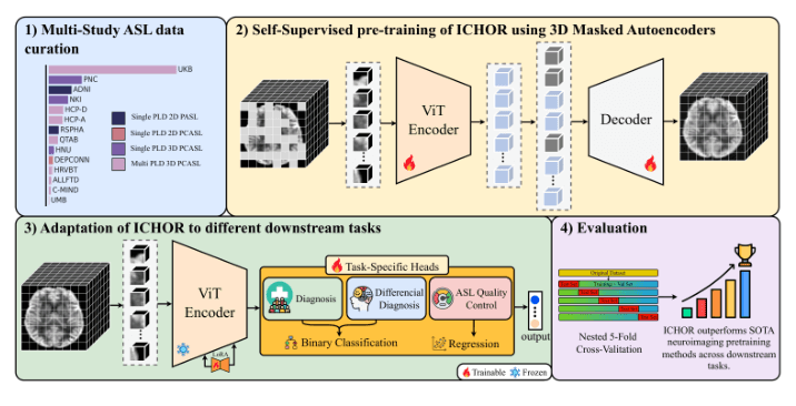 Source-provided article image: ICHOR: A Robust Representation Learning Approach for ASL CBF Maps with Self-supervised Masked Autoencoders