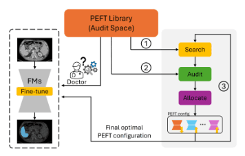 Source-provided article image: Self-auditing Parameter-Efficient Fine-Tuning for Few-Shot 3D Medical Image Segmentation